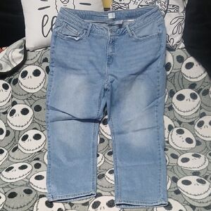 Time and Tru Light Blue Ankle Plus Size Jeans